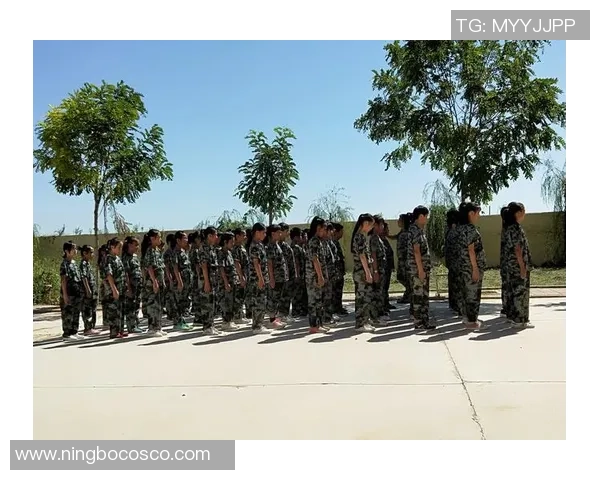 张强的王者荣耀人生深度对话探讨游戏背后的成长与挑战