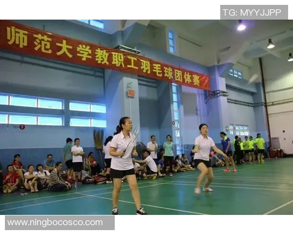 深圳羽毛球队团队协作的成功秘诀与实践探索分析