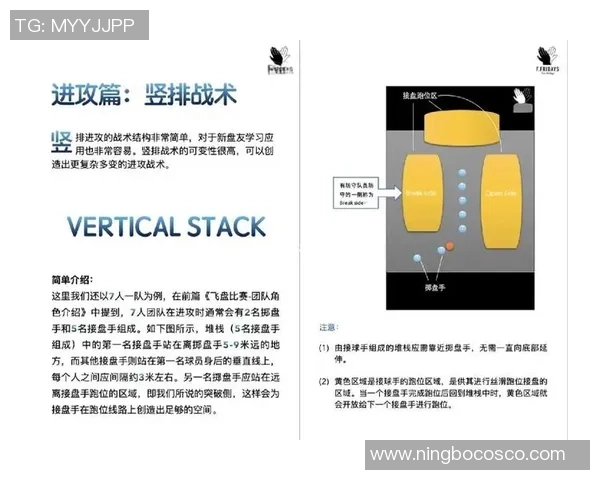 深圳飞盘队的节奏分析与战术得失探讨